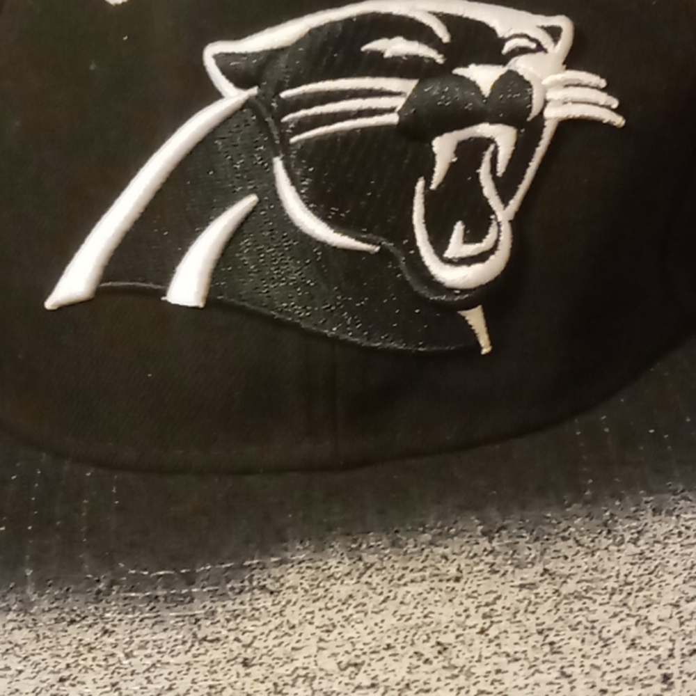 Panthers hat